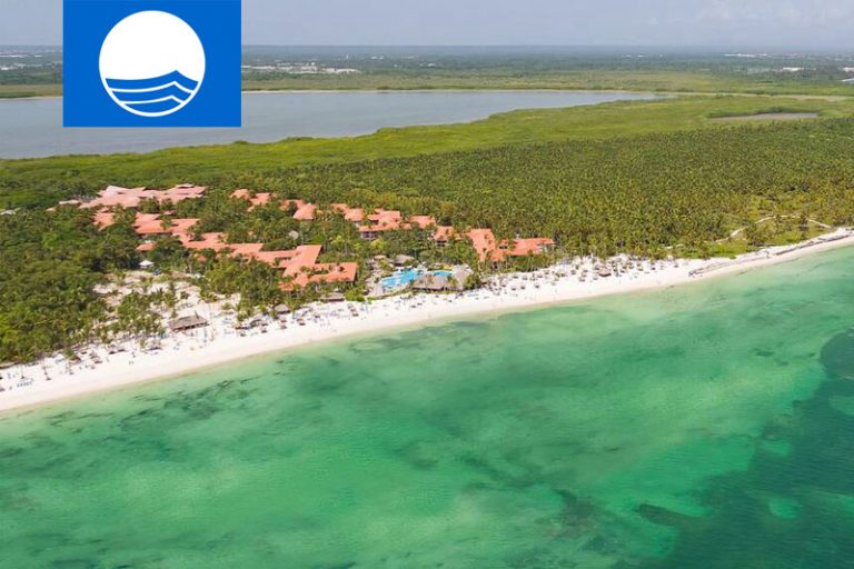 Cabeza del Toro Beach Punta Cana, Dominican Republic Beach Guide 2021