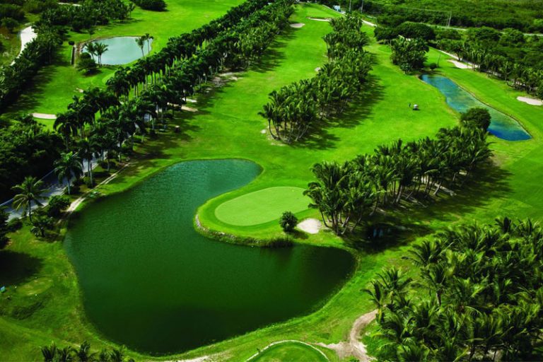 Best Punta Cana Golf Courses Facts, Videos, Photos & Best Golf Resorts