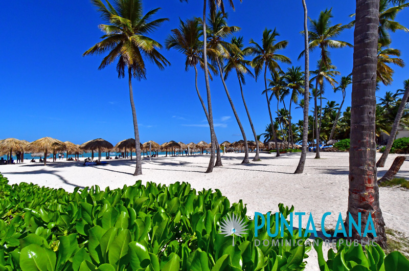 Bavaro Beach - Los Corales - Punta Cana, Dominican Republic