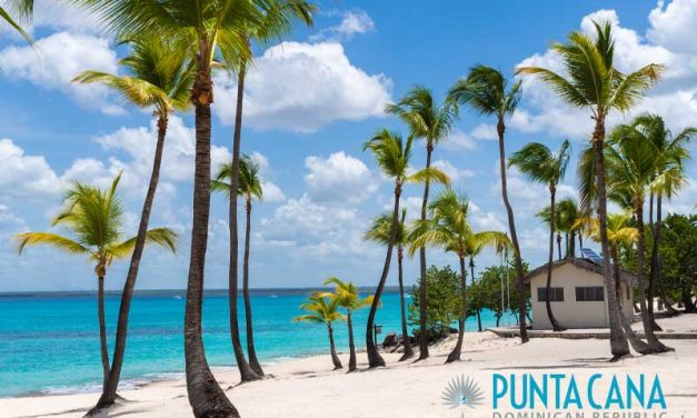 Isla Catalina (Catalina Island)<BR>Top Rated Tours from Punta Cana & La Romana<h4>One of the Best Places to go Scuba Diving & Snorkeling in the Dominican Republic</h4>