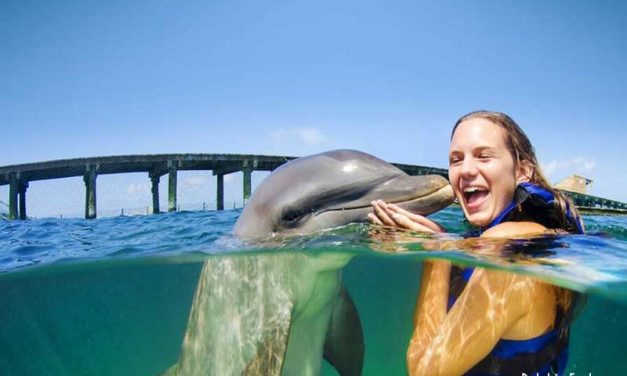 Dolphin Explorer – Punta Cana, Dominican Republic