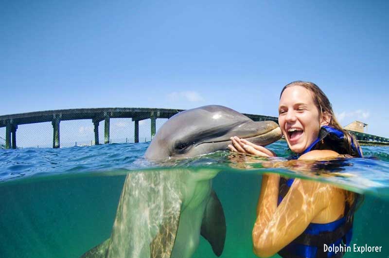 swimming with dolphins punta cana tours