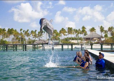 Dolphin Explorer Tours - Punta Cana, Dominican Republic