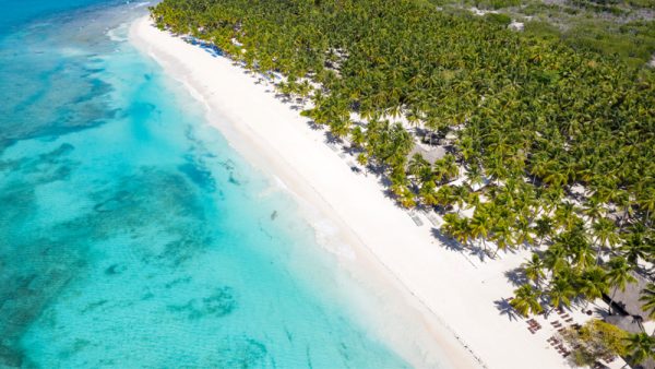 Saona Island from Punta Cana - Full Guide 2024 w/ Need to Know Facts