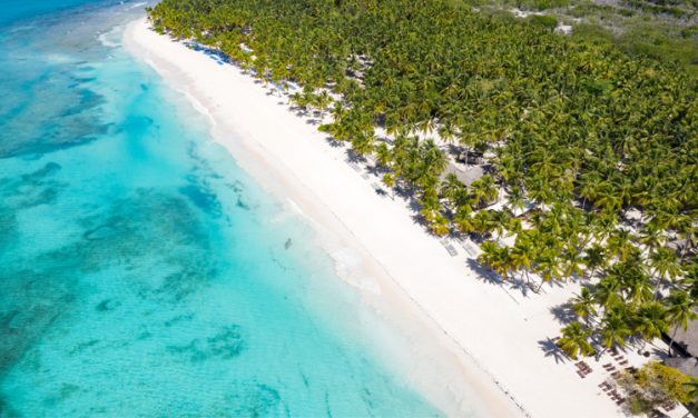 Isla Saona (Saona Island), Dominican Republic <BR><h3>2022 Island Guide – Top Rated Excursions from Punta Cana, Best Things to Do, Visiting Tips</h3>