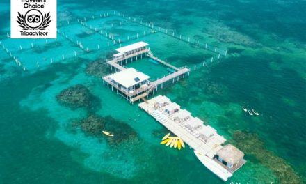 Marinarium – Punta Cana<BR><h3>Family Friendly Snorkeling Attraction – Top Rated Tours</h3>