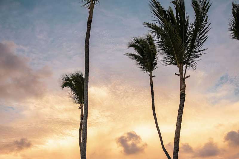 Sunset - Melia Punta Cana Beach Resort - Punta Cana, Dominican Republic