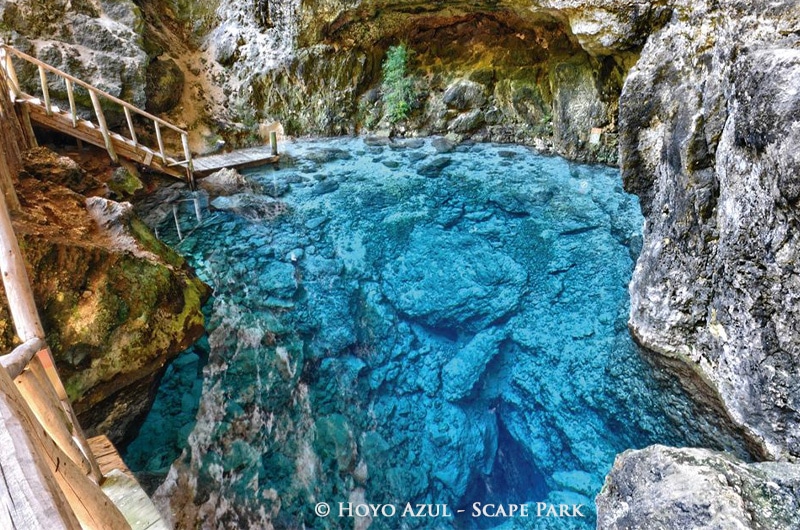 Punta Cana Cenotes Don t miss the mesmerizing cenotes Punta Cana  DR 