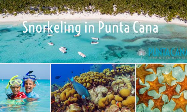 Snorkeling In Punta Cana, Dominican Republic <BR><h3>2023 Guide – Best Snorkeling Beaches & Top Rated Tours</h3>
