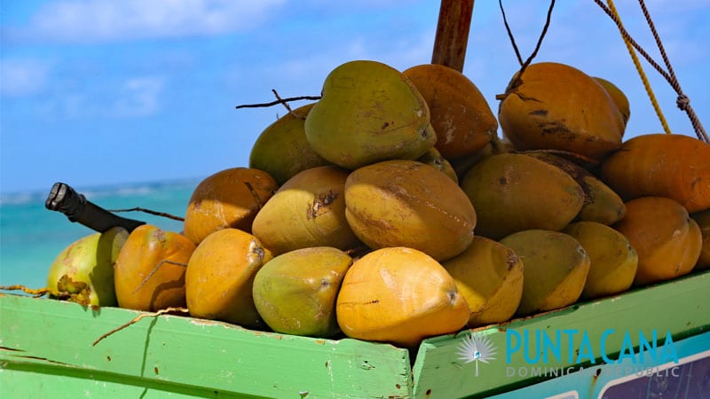 Coconuts - Food Culture - Punta Cana, Dominican Republic