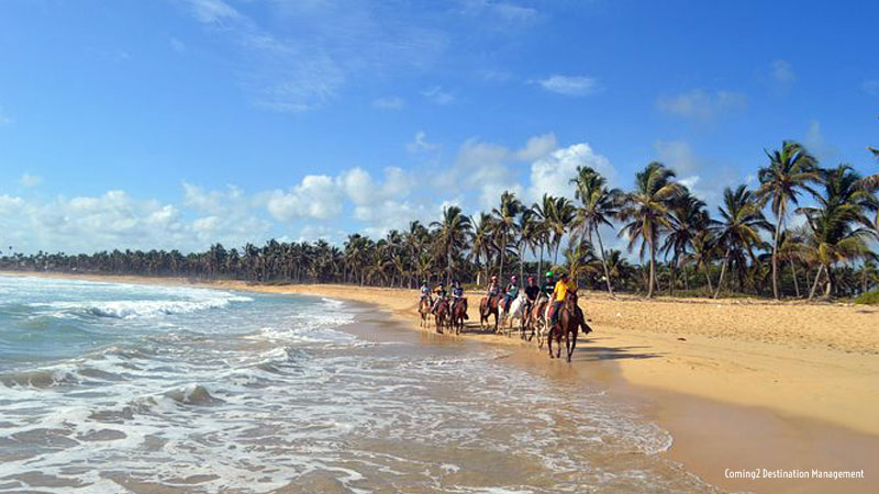 Punta Cana Horseback Riding Tours - Dominican Republic