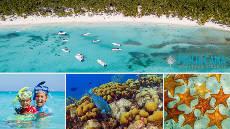 Go Snorkeling in Punta Cana, Dominican Republic