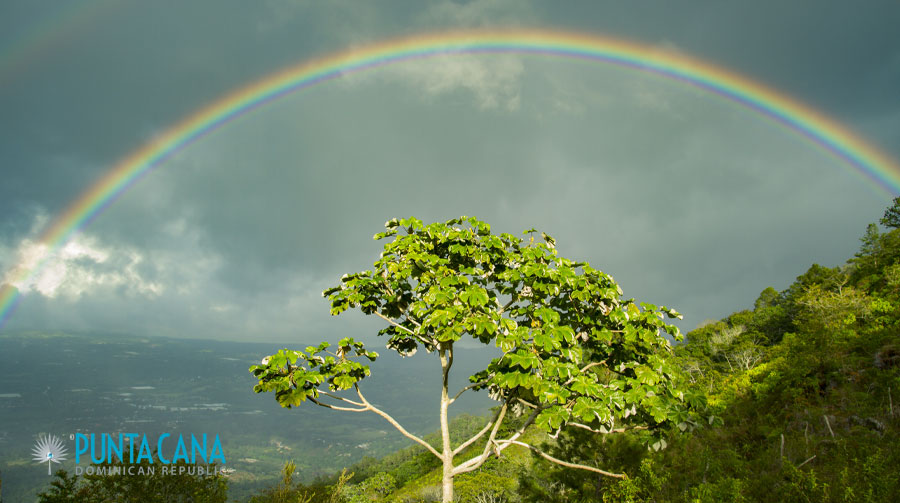 Punta Cana Rainy Season - Weather in Dominican Republic